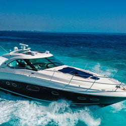 bbeach-caribbean-yacht-rentals-luxury-octopus