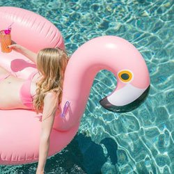 bbeach-caribbean-yacht-rentals-services-be-fun-flamingo